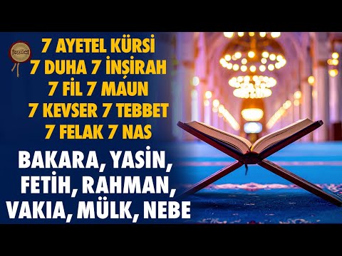 Bakara Yasin Fetih Rahman Vakıa Mülk Nebe 7AyetelKürsi Duha İnşirah Fil Maun Kevser Tebbet Felak Nas