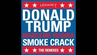 Ledinsky &quot;DonaldTrumpMakeMeWannaSmokeCrack&quot; (Landis Remix)
