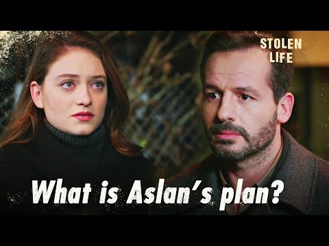 Where will Aslan take Mine? - Stolen Life | Short Scenes