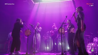 Tanxuguerias, Rozalen, Izaro - Como un burro amarrado en la puerta del baile