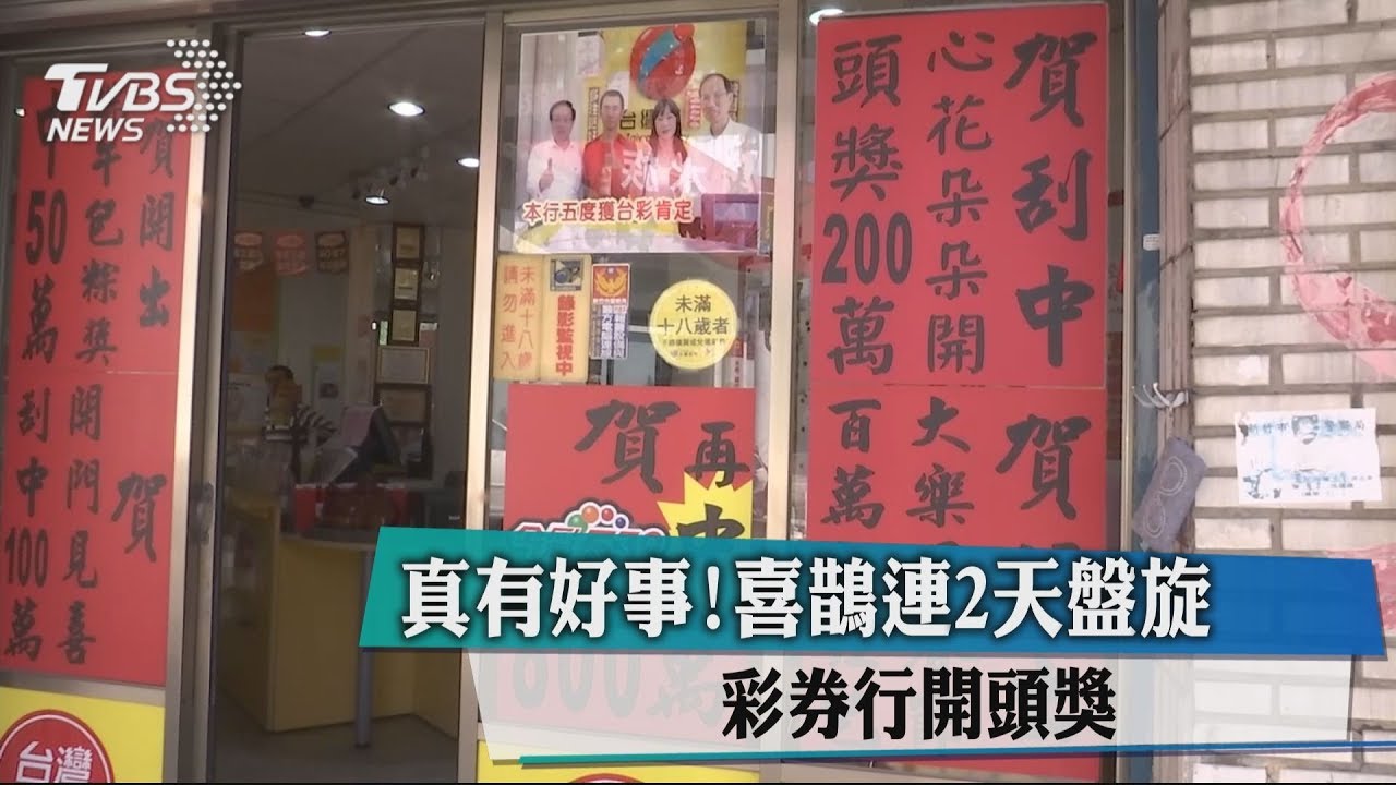 真有好事!喜鵲連2天盤旋 彩券行開頭獎