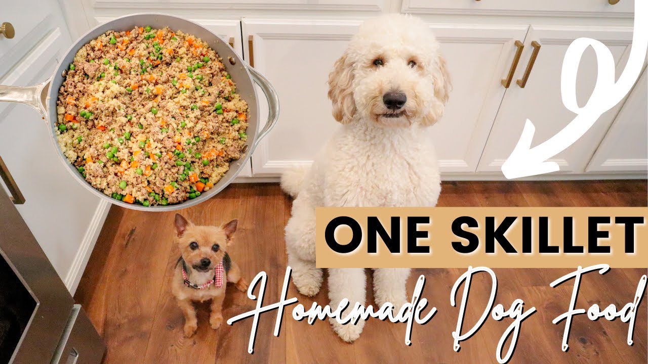 ONE SKILLET HOMEMADE DOG FOOD RECIPE WITH ONLY 3 INGREDIENTS // LoveLexyNicole