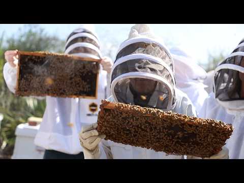 Florida Trend Video Pick - Video