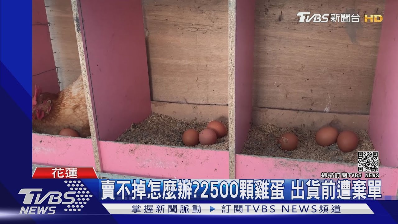 扶輪社突棄單!神父農場雞蛋 全被掃貨