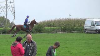 preview picture of video 'Kyle van Vugt - Waregem 05-10-2014 - Cross Military Waregem Paarden Klasse B'