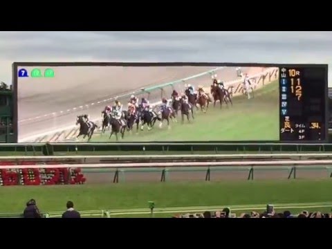 第60回 有馬記念 2015.12.27