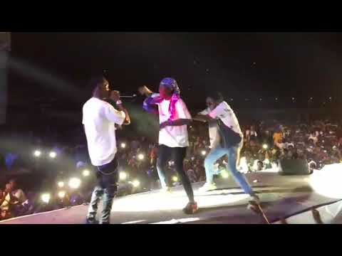 oude mill et les danseurs pyramides gang sur scène l'or de son concert