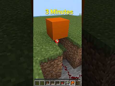 Insane MC Minecraft Automatic Door at Diff Times