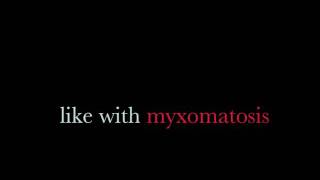 Radiohead - Myxomatosis. (Judge, Jury & Executioner.) Lyrics On Screen