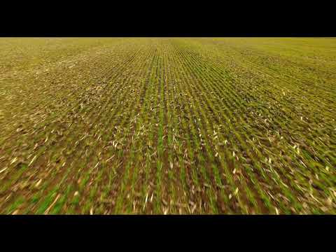 4K Drone Flying Over Crops