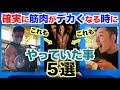 【初心者から上級者の方】確実に筋肉がデカくなる時にやっていた事5選です。食事、筋トレで大切な事とは?