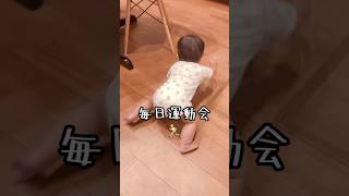 毎日ハイハイで走り回ってます🏃 #赤ちゃん #赤ちゃんのいる生活 #生後9ヶ月 #男の子ベビー #クォーター #クォーターベビー #三兄弟 #末っ子 #ハイハイ #運動会 #shorts