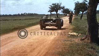 United States soldier pulls Viet Cong's dead body by jeep in Vietnam. HD Stock Footage