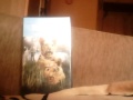 Moja Kolekcja Kaset Vhs Update 2017 Cz 2