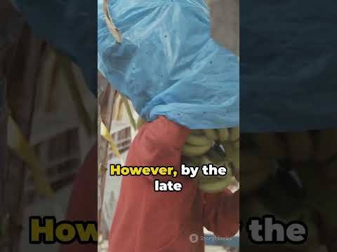 🇳🇬The Groundnut Puramid of Kano #queenamina #nigeria #history #tradition #explore #zazzau #africa