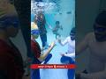 Underwater Game ‍ ️ Swimming Fun Swimmingpool Underwater Swim Fun