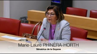 La sénatrice expose les difficultés de la Guyane concernant la mobilité intérieure Marie-Laure Phinera-Horth