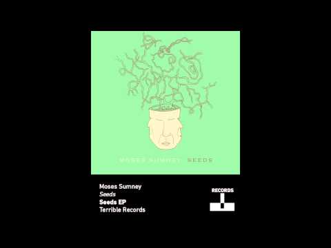 Moses Sumney - Seeds