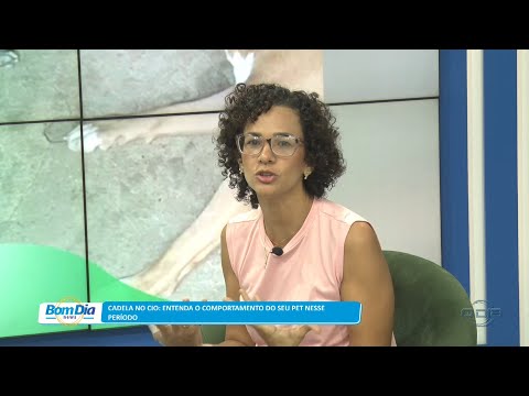 Médica Veterinária explica o comportamento de cadelas no período do cio 31 03 2023