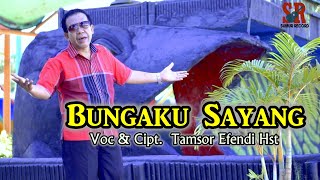 Download lagu Bungaku Sayang || Tamsor Efendi Hst || Lagu Tapsel Madina Terbaru mp3