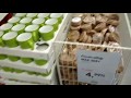 IKEA GEZİSİ IKEA MUTFAK IKEA YEMEK ODASI IKEA BEBEK ODASI IKEA DEKORASYON ALIŞVERİŞ икеа