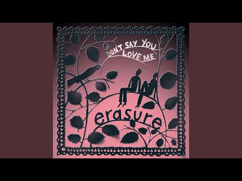 Video thumbnail for Don’t Say You Love Me [Single Mix]