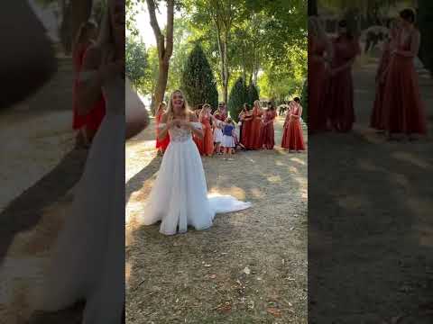 Bagarre au mariage ! 😱