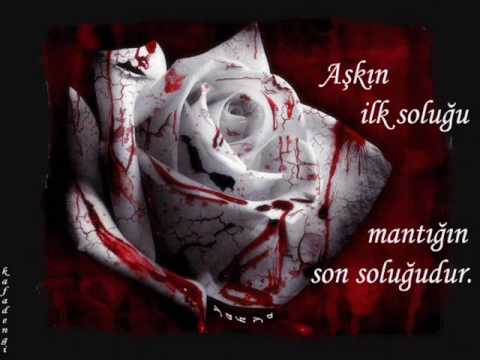 eker bruder - git hadi git ( mc sezoow )