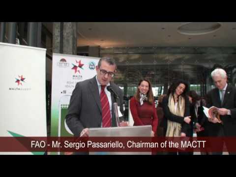Mr.  Sergio Passariello Chairman of the MACTT