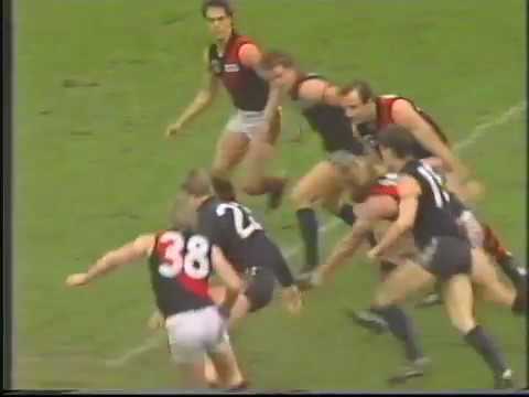 1991 Essendon v Carlton - Round 22 VFL PARK