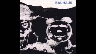 BAUHAUS ~ Poison Pen (Monkey)