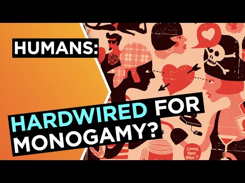 Are humans hardwired for monogamy? | Helen Fisher | Big Think