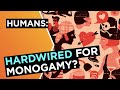 Are humans hardwired for monogamy? | Helen Fisher | Big Think