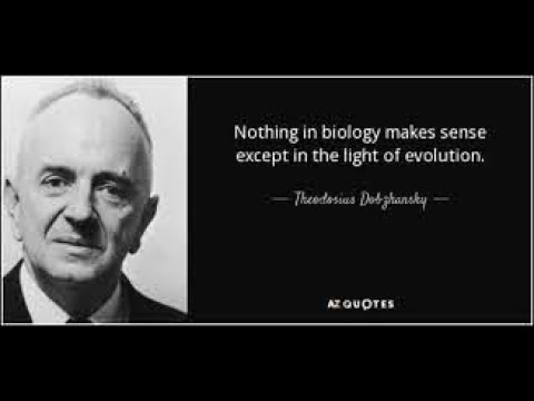 Brad & Raphael talk about SCD1, uncoupling proteins, saturated fat, linoleic acid & obesity