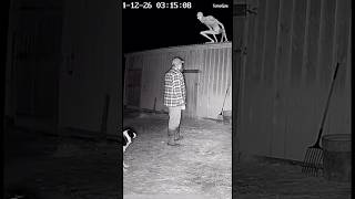 CCTV: Creature drops from roof, Dog intercepts! #shorts #scary #creature #fyp #goviral
