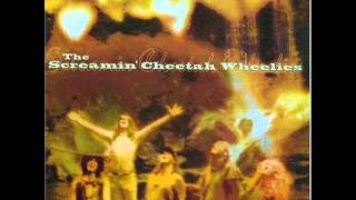 The Screamin` Cheetah Wheelies - Majestic