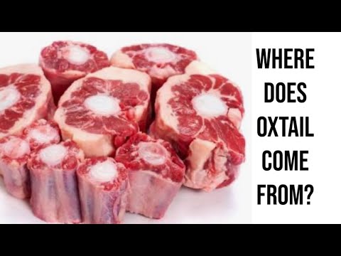 Where does Oxtail actually come from
