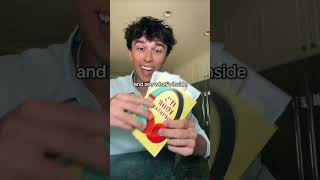 Vitelli beefs a bee... #shorts #shortsfeed #youtubeshorts #cringe #tylervitelli #comedy #funny