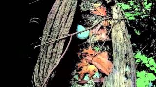 Atomic Babies - Organic (1996)