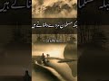 1 Hindu Ka Hazrat Ali Se Sawal Musalman Murde Dafnaty Hn Kyun Shorts