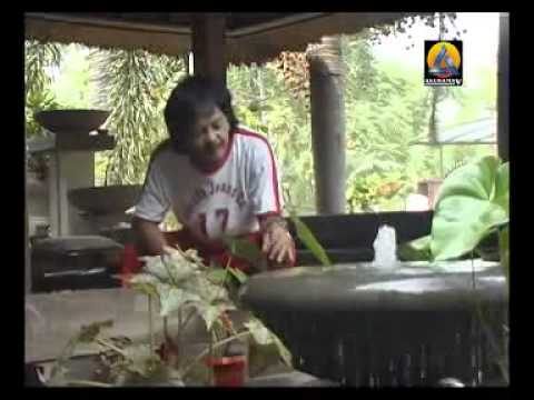 TARA BISA SARE caca handika - lagu sunda