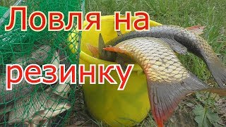Карп ловля на резинку