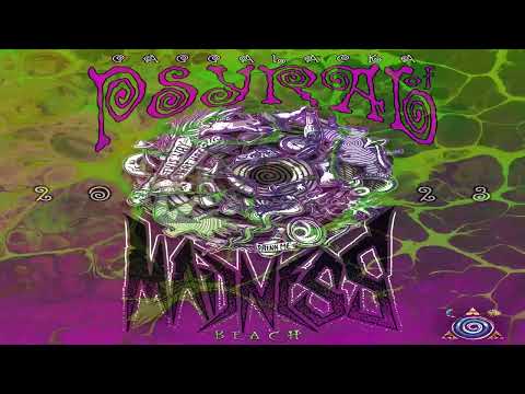 Modular Monkey - Acid Sunday