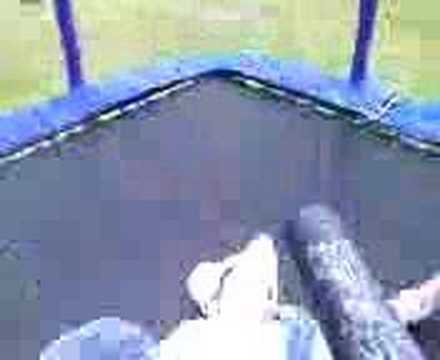 razor beats strikes back