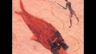 Crash Vegas   Gold and Silver