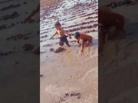 Aasveer  kaur sandhu is playing with navroop(elder sister)