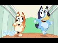 Yoga Topu Tam Bölüm Bluey Türkçe Resmi Kanal