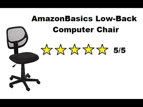 Lowback computer chair review