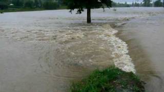 preview picture of video 'Olszyna Dolna - Powódź - 07.08.10'