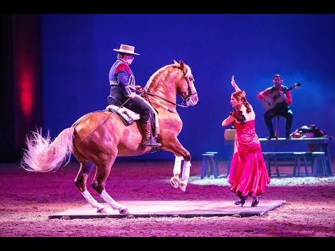 Die Idee zur Show: "Gefährten des Lichts" – 2017/2018